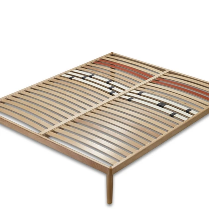 Rete Dante di Florentiabed