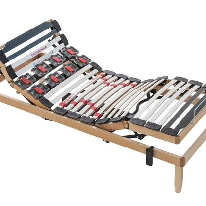 Rete motorizzata Botticelli di Florentiabed