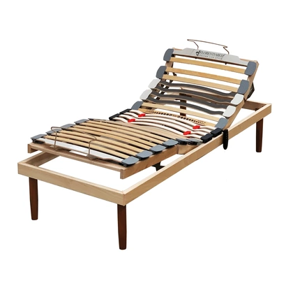 Rete motorizzata Petrarca Motore di Florentiabed